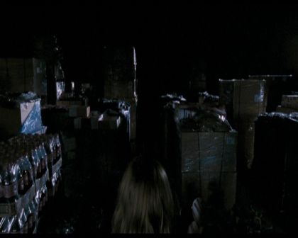 PDVD_1101.jpg