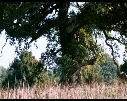 PDVD_1380.jpg