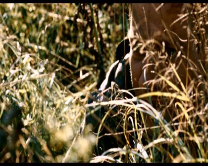 PDVD_1423.jpg
