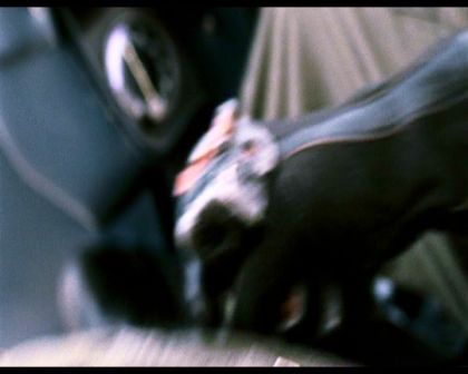 PDVD_1444.jpg