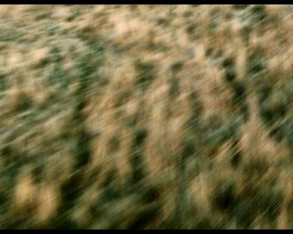 PDVD_1461.jpg