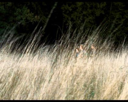 PDVD_1487.jpg