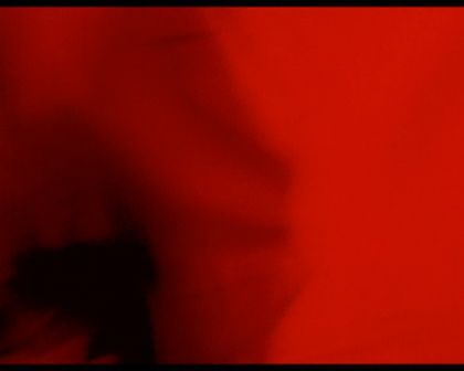 PDVD_861.jpg