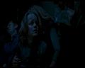 PDVD_1223