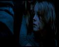 PDVD_1233