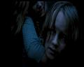 PDVD_1237