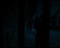 PDVD_1264