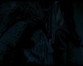 PDVD_1268