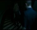 PDVD_1274