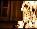 PDVD_1313
