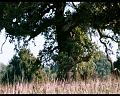 PDVD_1380