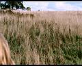 PDVD_1407