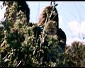 PDVD_1413