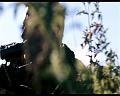 PDVD_1416