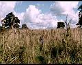 PDVD_1418