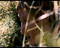 PDVD_1421