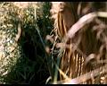 PDVD_1422