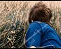 PDVD_1439