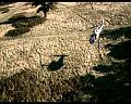 PDVD_1453