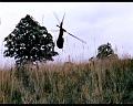 PDVD_1456