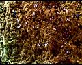 PDVD_1481