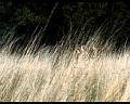 PDVD_1487