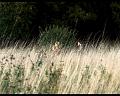 PDVD_1488