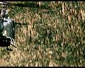 PDVD_1503