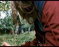 PDVD_1521