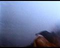 PDVD_1535