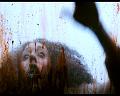 PDVD_1548
