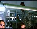 PDVD_430