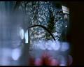 PDVD_439