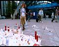 PDVD_442