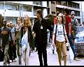 PDVD_455