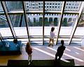PDVD_468