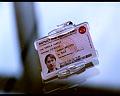 PDVD_489