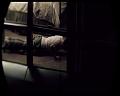PDVD_526