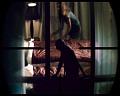 PDVD_532