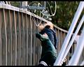 PDVD_561
