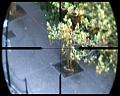 PDVD_570
