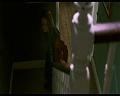 PDVD_595