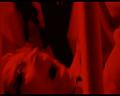 PDVD_973
