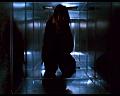 PDVD_986