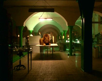 PDVD_242.jpg