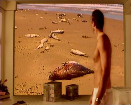 PDVD_626.jpg