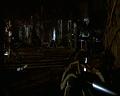 PDVD_1265