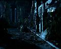 PDVD_1267