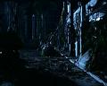 PDVD_1273