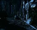 PDVD_1275